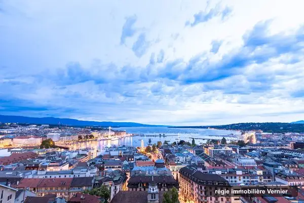 BARNES Commercial Realty - Genève, régie immobilière à Vernier