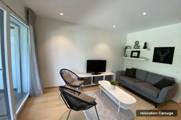 BR-Consulting Real Estate & Relocation Sarl, relocation in Carouge
