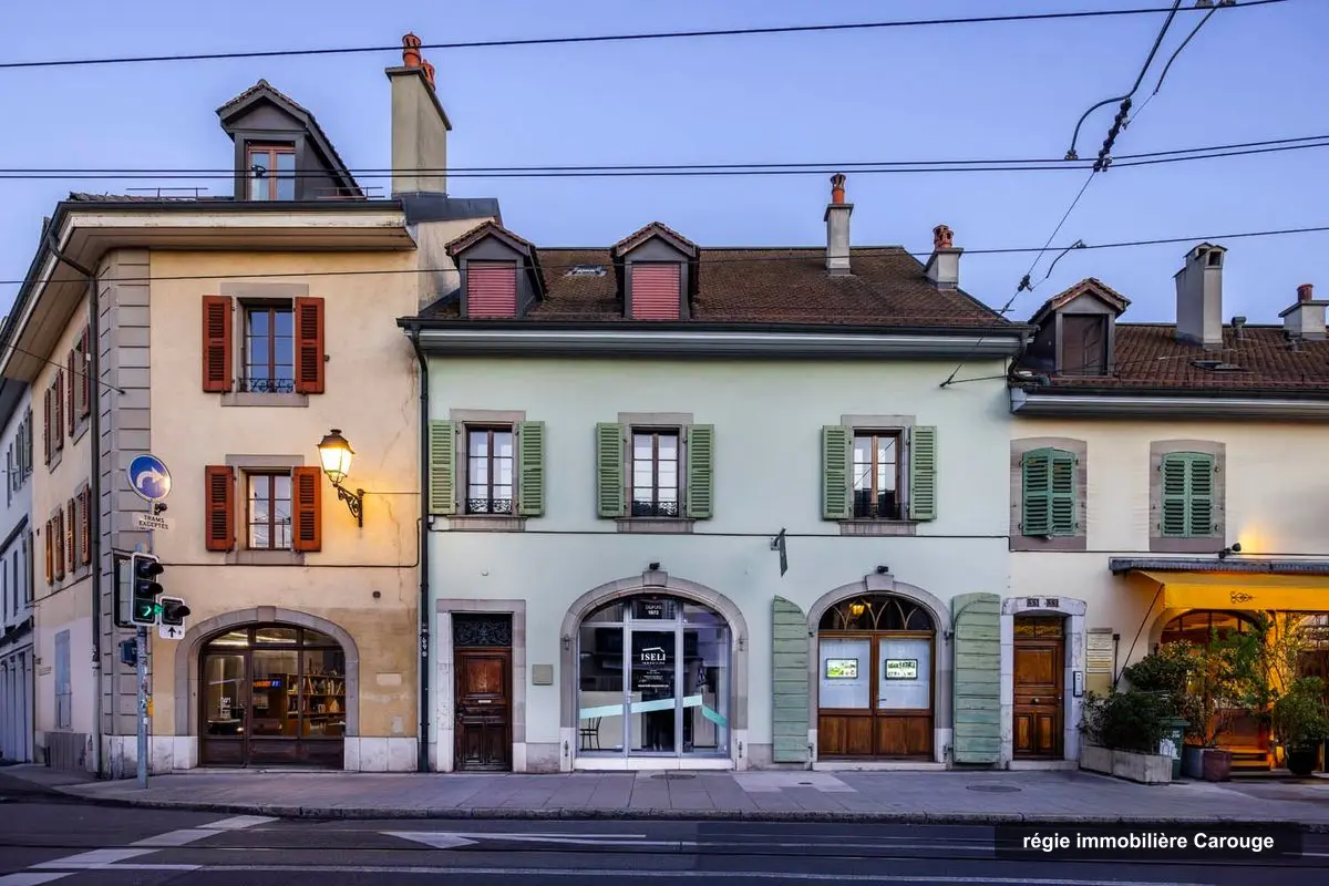 ISELI IMMOBILIER SA, letting agency in Carouge
