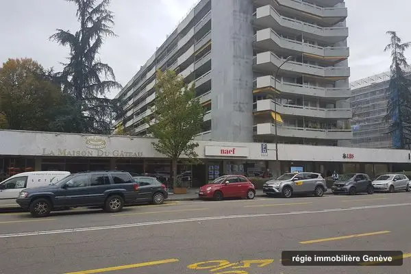 Naef Immobilier Genève SA (Vente), régie immobilière à Genève