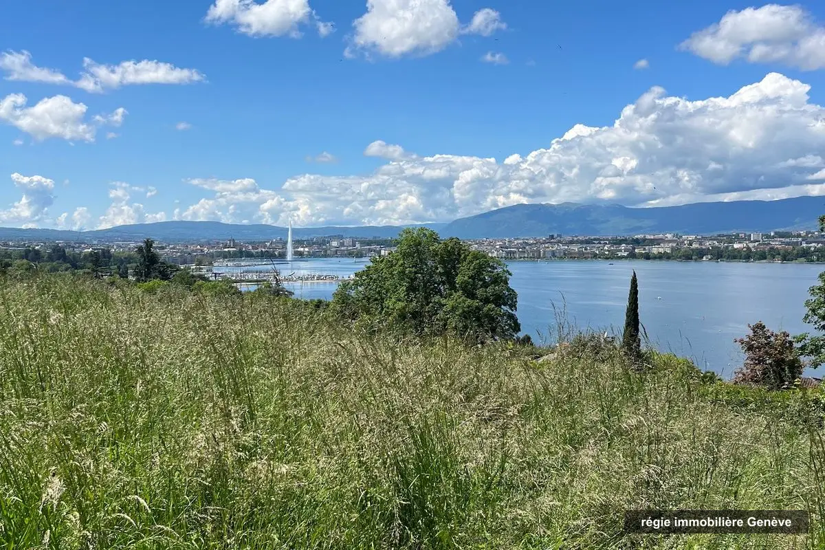 Régie Immobilière à Genève - Progrimm SA, régie immobilière à Genève